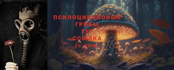 ALPHA PVP Алзамай
